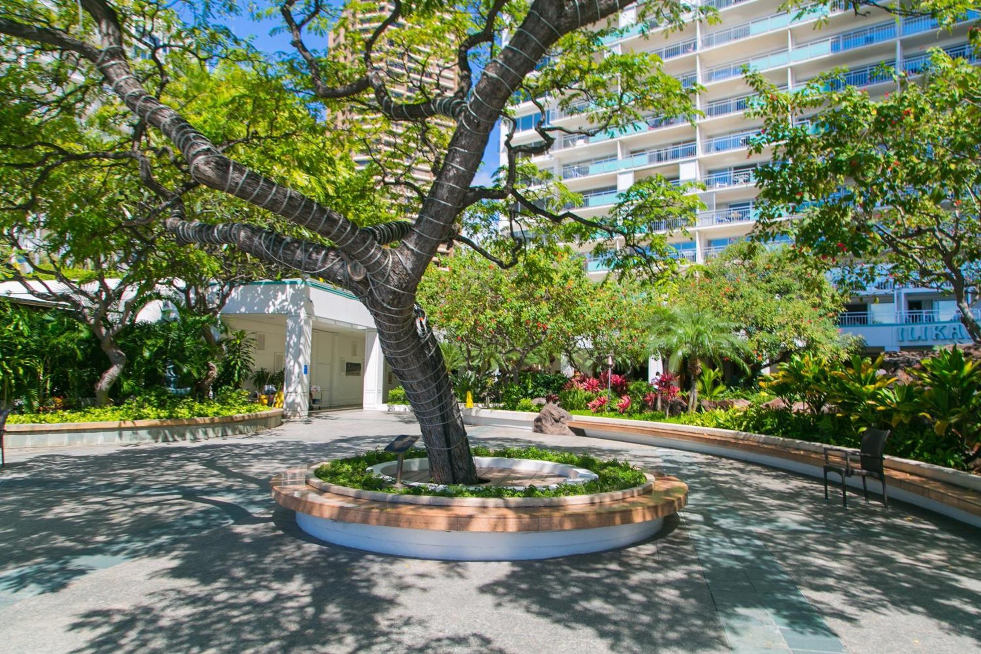 Ilikai Tower 525 City View 2Br Honolulu Ngoại thất bức ảnh